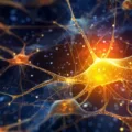Neuroplatform Υπολογιστές με εγκεφαλικά κύτταρα: Η ελβετική επανάσταση της FinalSpark