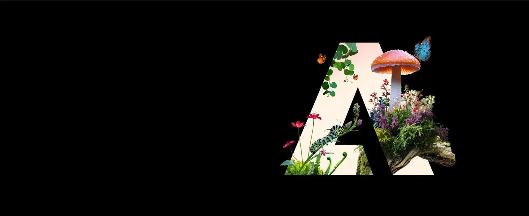 Adobe Firefly: Πώς μετατρέπεις μία εικόνα σε βίντεο σε λίγα δευτερόλεπτα