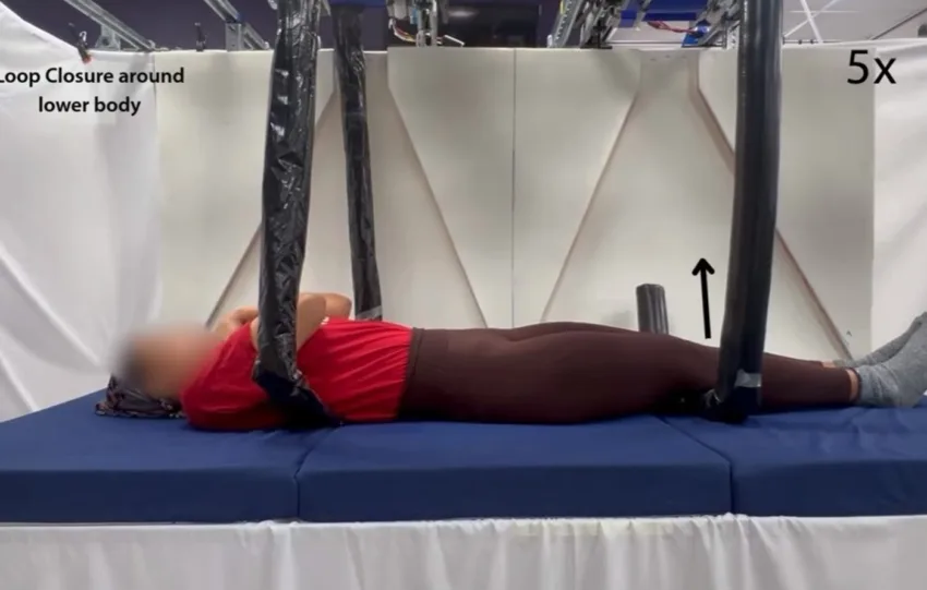 Vine-like robot από MIT και Stanford αλλάζει τη φροντίδα και τη ρομποτική