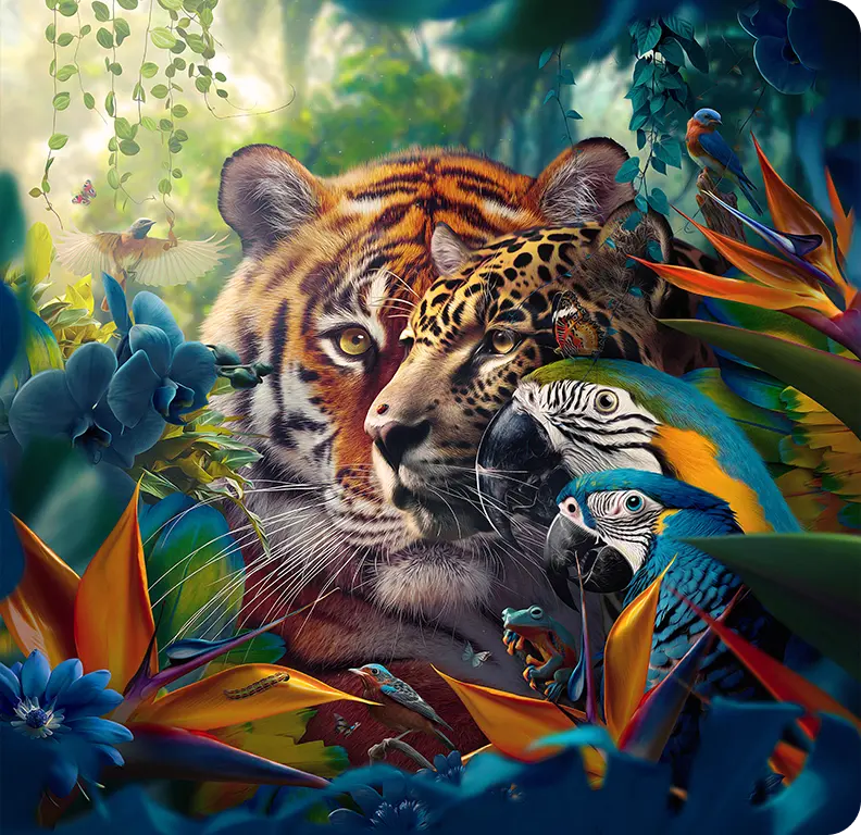 Στο ChatGPT τα Photoshop, Express, και Acrobat της Adobe