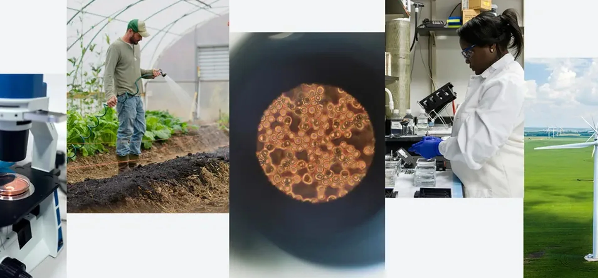 Επιστήμη και AI: Η νέα πρωτοβουλία της Google για την παγκόσμια πρόοδο 1 Επιστήμη και AI: Η νέα πρωτοβουλία της Google για την παγκόσμια πρόοδο