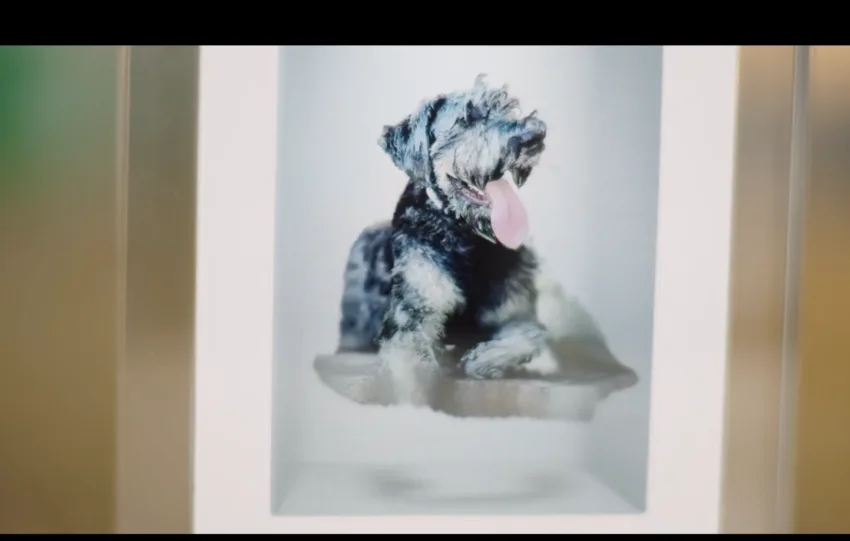 Το Musubi φέρνει την επανάσταση στα ψηφιακά κάδρα με ολογραφική απεικόνιση