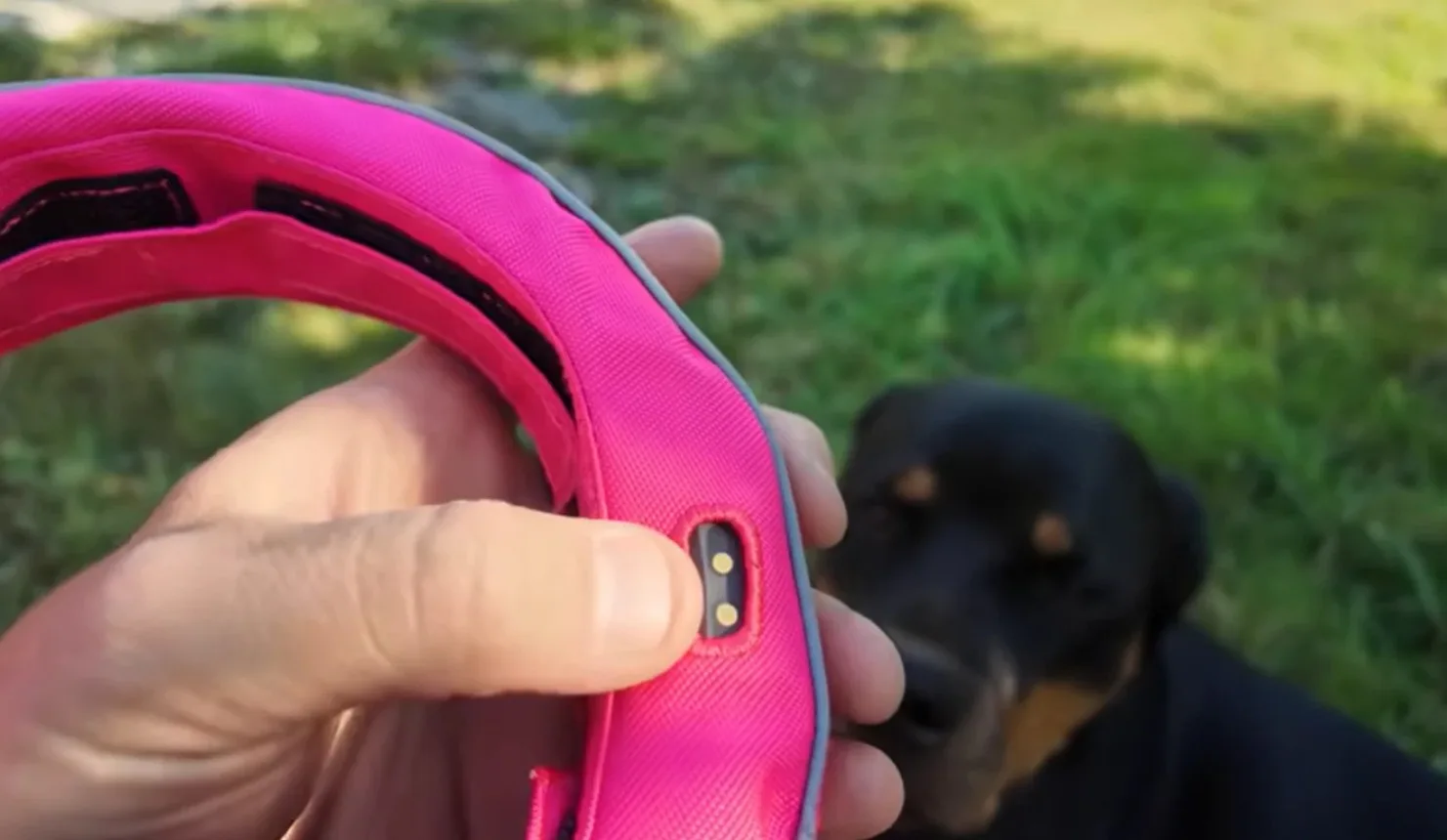 SATELLAI Collar και Collar Go: Η απόλυτη λύση για την ασφάλεια των σκύλων