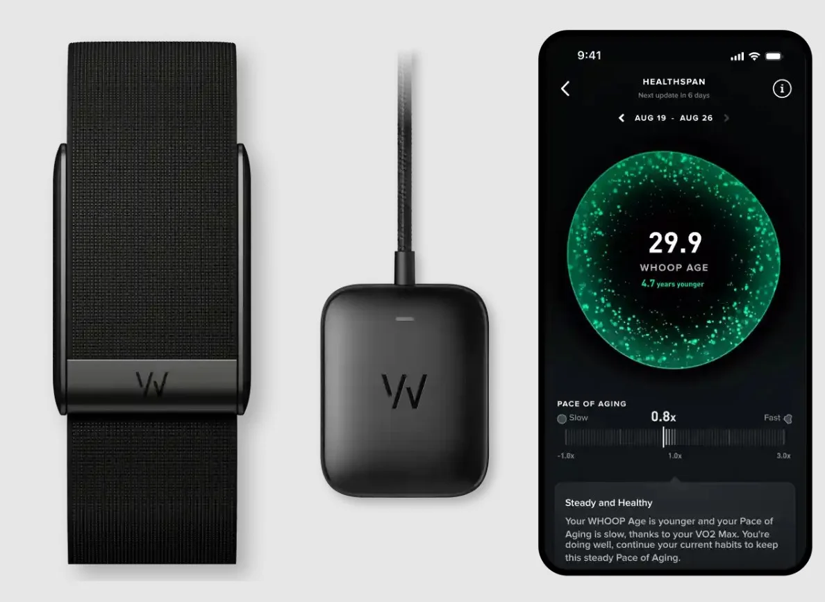 Ο Steph Curry αποκαλύπτει το νέο Fitbit: Η απάντηση της Google στα έξυπνα βραχιόλια