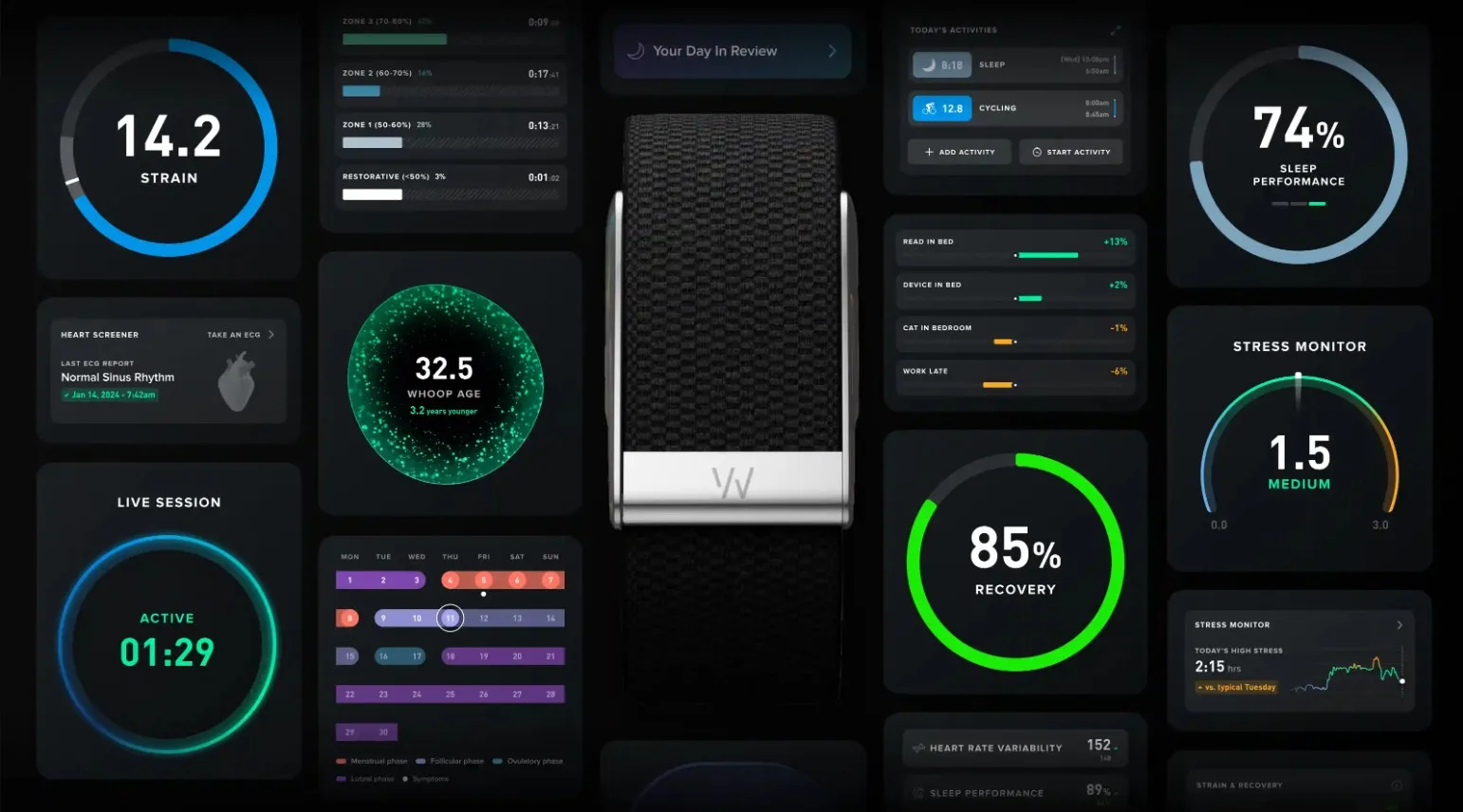 Ο Steph Curry αποκαλύπτει το νέο Fitbit: Η απάντηση της Google στα έξυπνα βραχιόλια