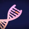 Google: Το AlphaGenome Atlas ανοίγει τον δρόμο για νέες θεραπείες