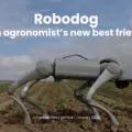 AI και σκυλιά ρομπότ αλλάζουν τη γεωργία