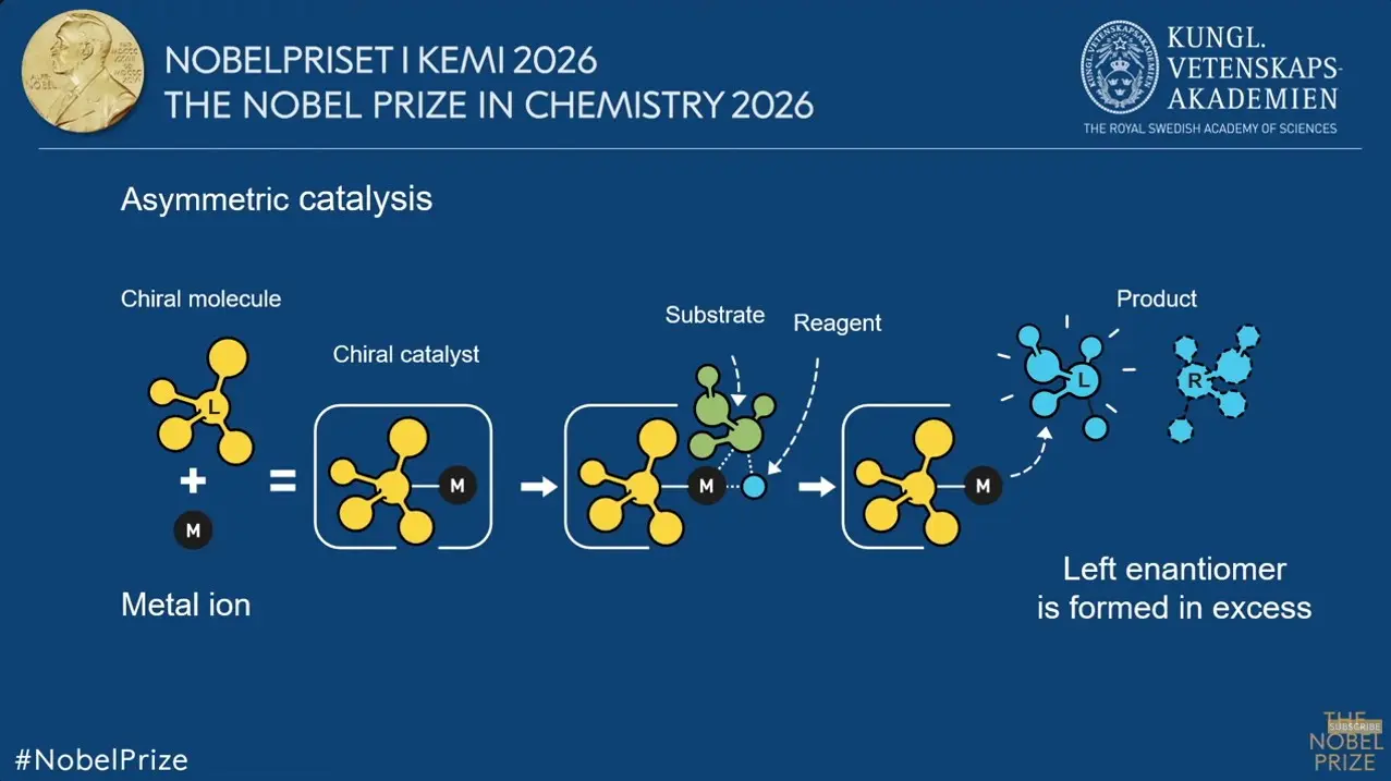 Το Νόμπελ Χημείας 2026 στους επιστήμονες που αποκάλυψαν πώς τα μόρια «διαλέγουν πλευρά» 4 Το Νόμπελ Χημείας 2026 στους επιστήμονες που αποκάλυψαν πώς τα μόρια «διαλέγουν πλευρά»