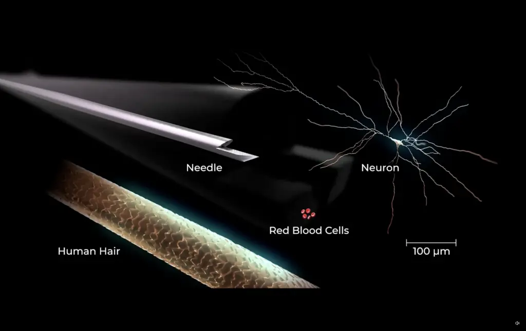 Η Neuralink του Elon Musk έχει έτοιμο το εμφύτευμα που φιλοδοξεί να δώσει όραση σε τυφλούς